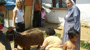 Schwester Johanna kaufte zwischen 30 und 40 Ziegen für Bauern im Kosovo