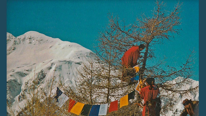 Bön_Mönche_am_Baum_2001